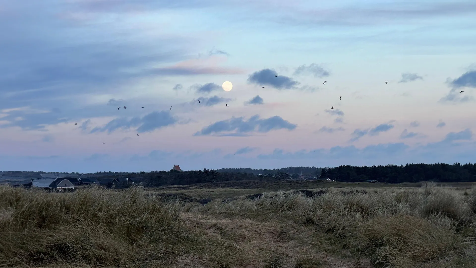 Hintergrund background image
